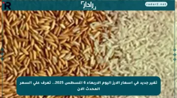 تغير جديد في أسعار الأرز اليوم الأربعاء 6 أغسطس 2025.. تعرف على السعر المحدث الآن